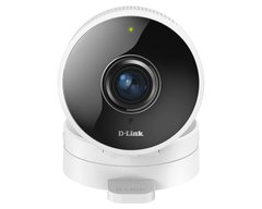 IP-Камера D-Link DCS-8100LH 1Мп, Облачная, беспроводная 802.11n, ИК-подсветка 5м, 180гр обзор (DCS-8100LH)