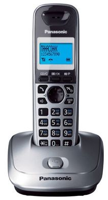 Радиотелефон DECT Panasonic KX-TG2511UAM Metallic (KX-TG2511UAM)