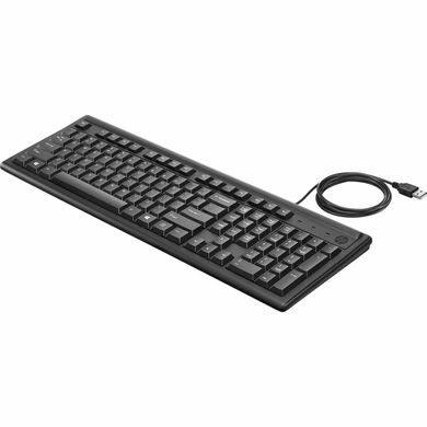 Клавіатура HP Keyboard 100 USB (2UN30AA)