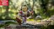 Ігрова колекційна фігурка Jazwares Roblox Core Figures Lion Knight W4 (ROG0113)