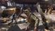 Гра PS4 Dying Light 2 Stay Human (Беслатне оновлення до версії PS5) Blu-Ray-диск (5902385108928)