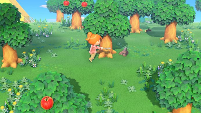 Програмний продукт Switch Animal Crossing: New Horizons (45496425470)