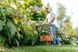 Тример садовий Bosch EasyGrassCut 26 280 Вт 26 см 1.9 кг (0.600.8C1.J01)