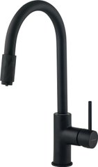 Змішувач для кухні Deante Aster довжина виливу — 206 мм поворотний 1+фільтр чорний (BCA_N64M)