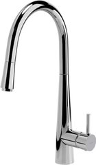 Змішувач для кухні Deante Aster довжина виливу — 228 мм поворотний 1 важіль хром (BCA_072M)